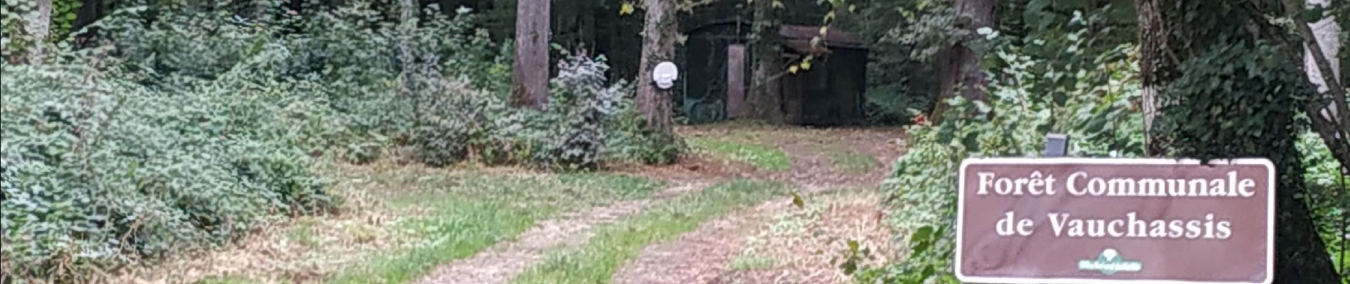 Tour Wandern Vauchassis - Bois des Ferrières - Photo