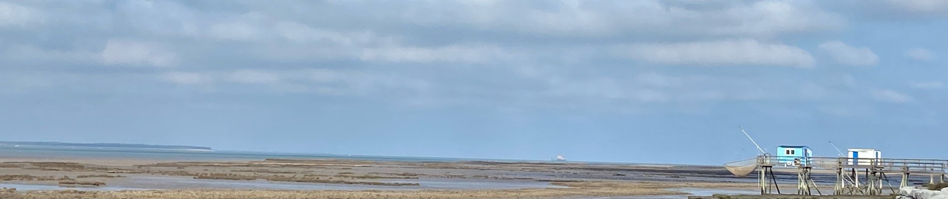 Tour Wandern Port-des-Barques - Île Madame - Photo