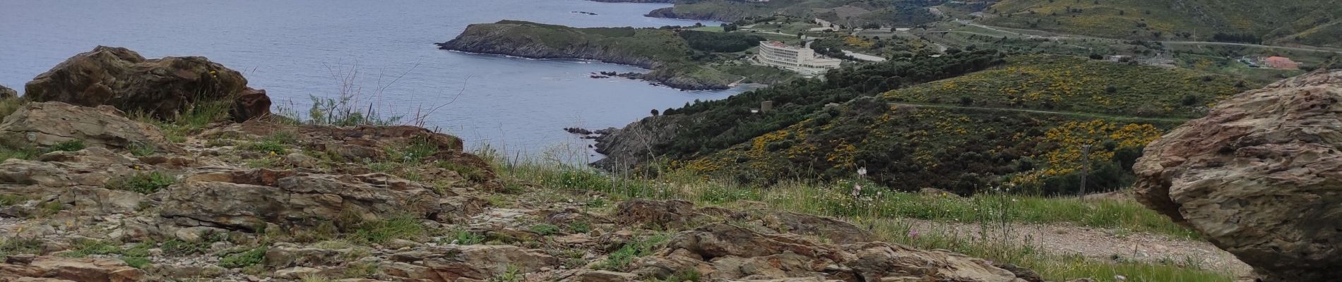 Trail Walking Banyuls-sur-Mer - banyuls cap rederis - Photo