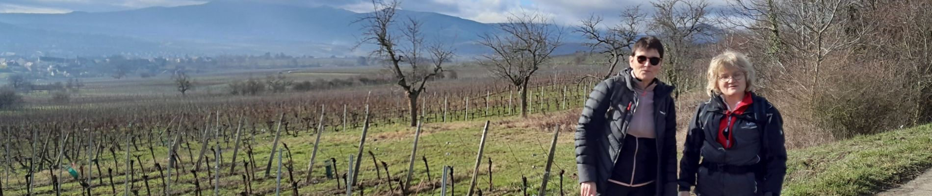 Tour Wandern Rosheim - Les balcons de Rosheim (variante) - Photo