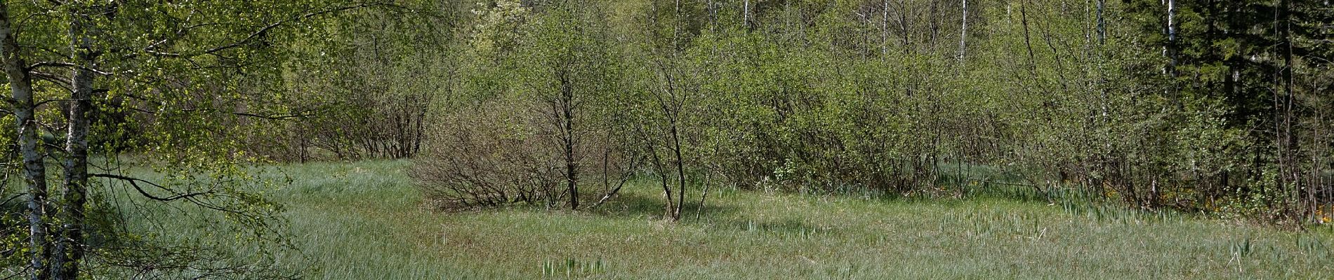 Tour Zu Fuß Edelschrott - Wanderweg 33 - Photo