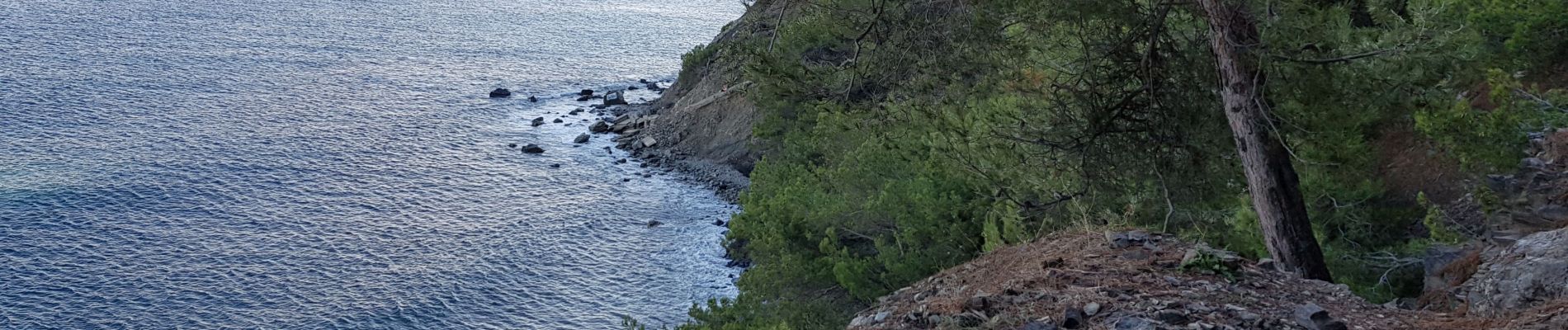 Randonnée Trail La Seyne-sur-Mer - fabregas, sémaphore du cap Sicié. sentier du littoral  - Photo