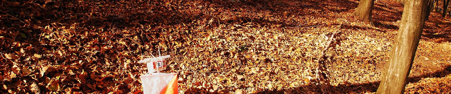 Percorso A piedi Cserépfalu - P+ (Hór-völgy - Farkaskő) - Photo