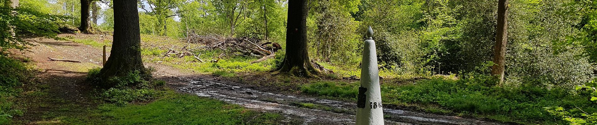 Tocht Te voet Vaals - Vaals SBB38 - Photo