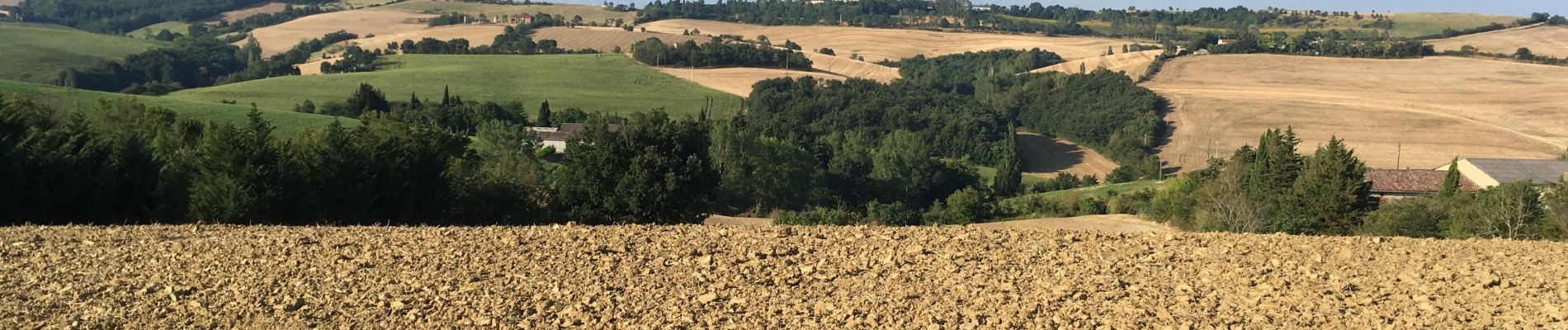 Percorso Marcia La Louvière-Lauragais - La Louvière Lauragais: 2819 - Photo