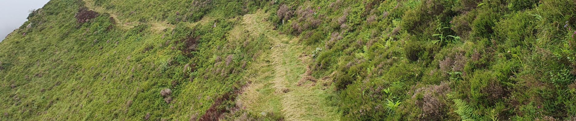 Tour Wandern Larrau - iraty pic des escaliers - Photo