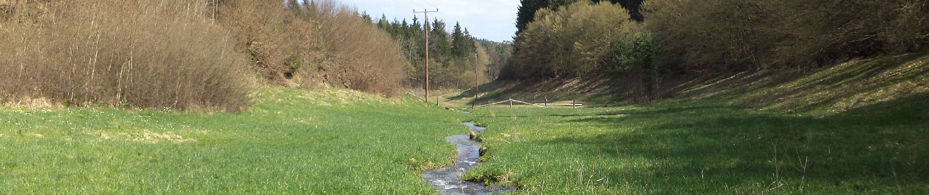 Trail On foot Forst Aura - Roter Schmetterling, Rundwanderweg Emmerichsthal - Photo