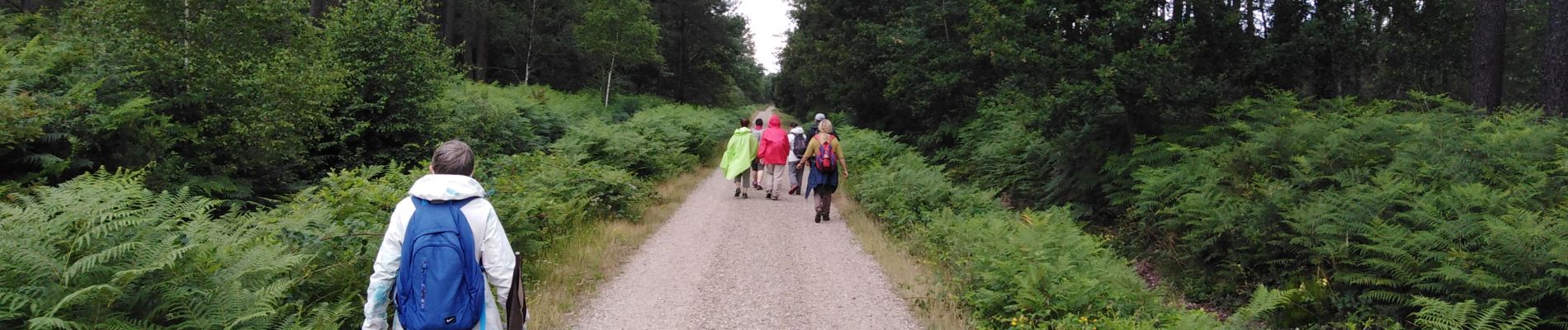 Trail Walking Canéjan - lestonnat - Photo