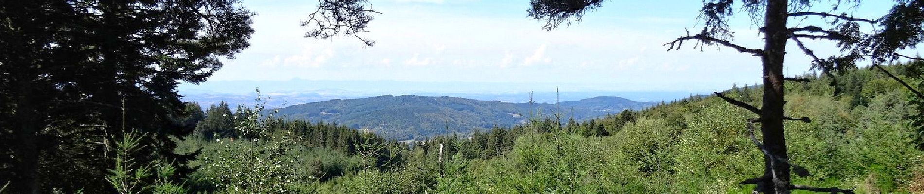 Excursión Senderismo Le Brugeron - Brugeron_Puy_Gros - Photo