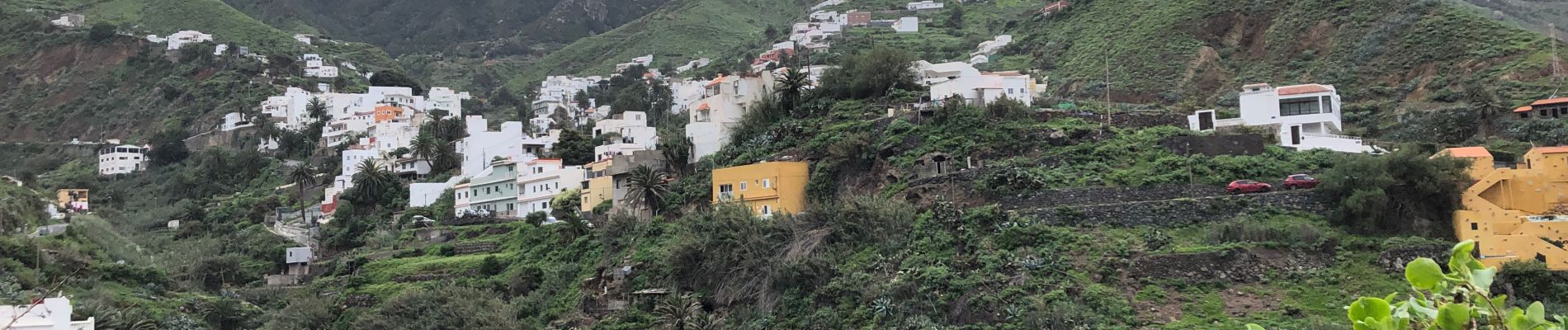 Tour Wandern Santa Cruz de Tenerife - 20230128 boucle Tâcheron - Amalciga  - Photo