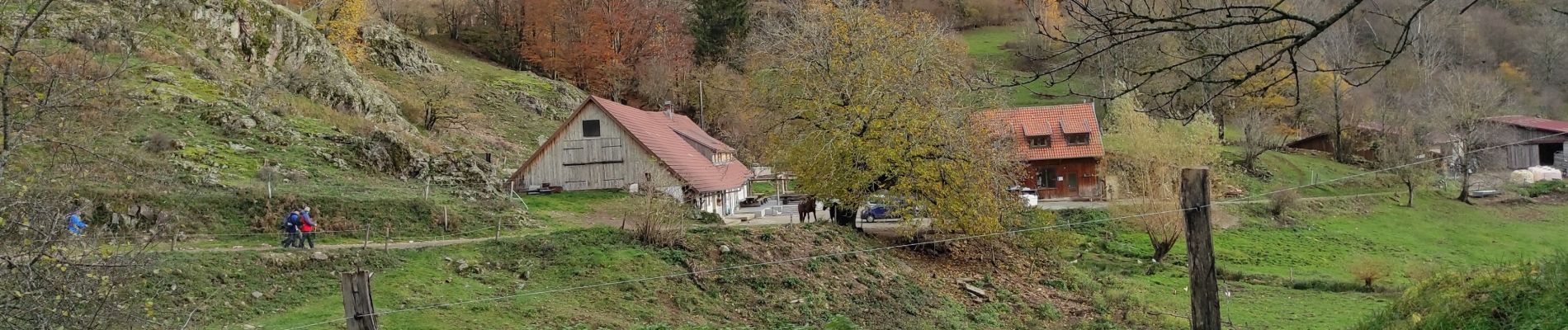 Tocht Stappen Sewen - Sewe Baerenbach  - Photo