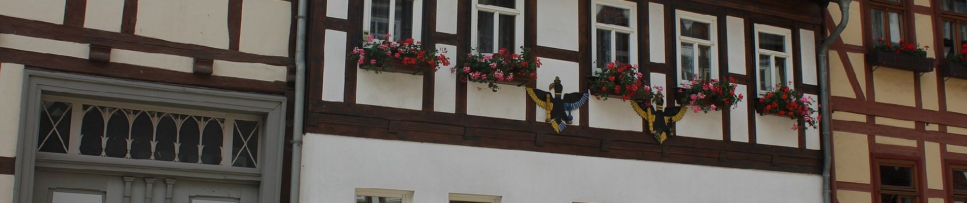 Percorso A piedi Harztor - Wanderweg 