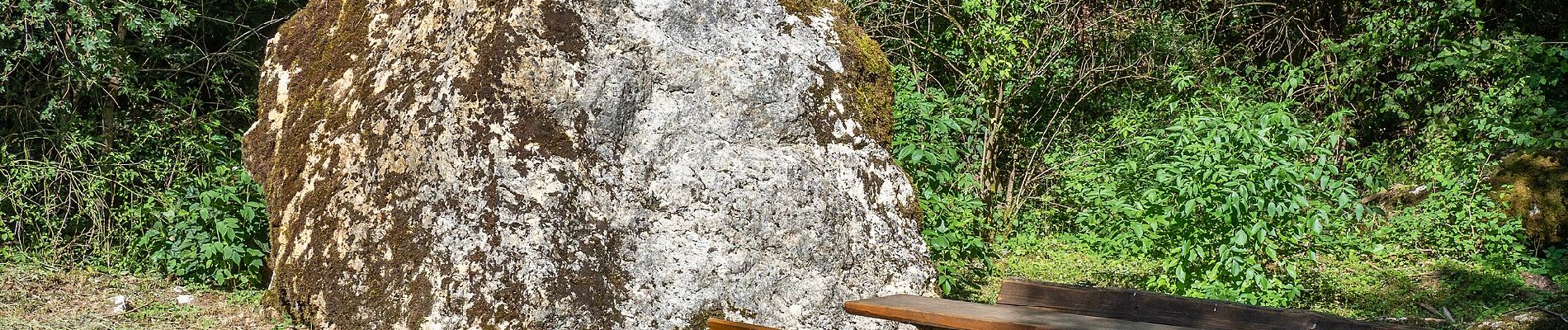 Percorso A piedi Weismain - Frankenberg Rundweg - Photo