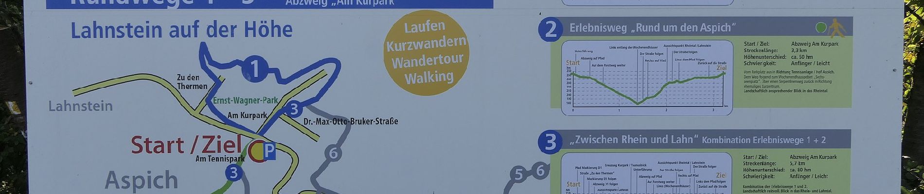 Excursión A pie Lahnstein - Rheinsteig-Exkursion Spießborner Grillhütte - Photo