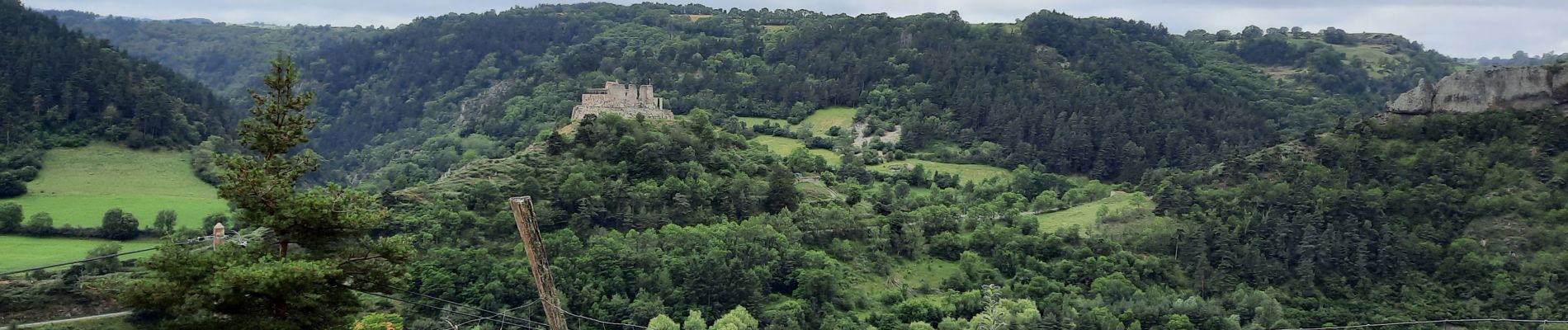 Randonnée Marche Le Monastier-sur-Gazeille - Steveson 2 Monastier-Bouchet - Photo