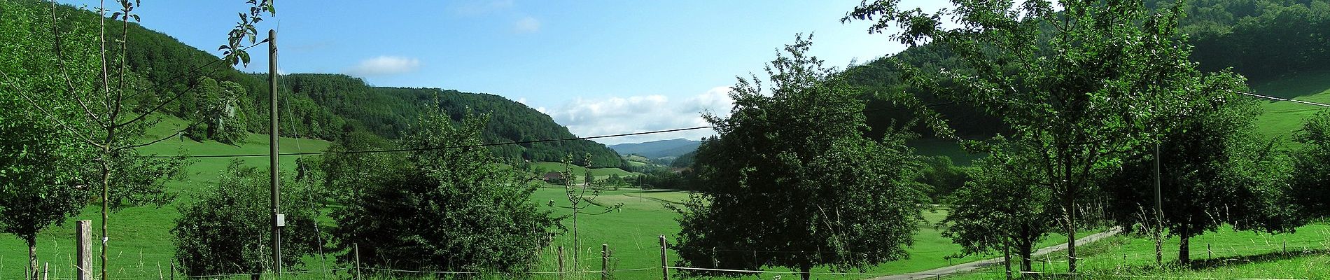 Tocht Te voet Schuttertal - Am Winterberg - Am Kapellenberg - Photo