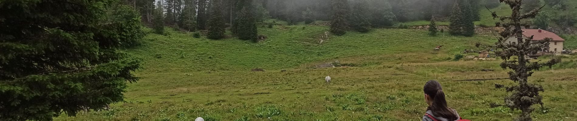 Tocht Stappen La Pesse - Étape 19 : La Pesse - Lelex - Photo