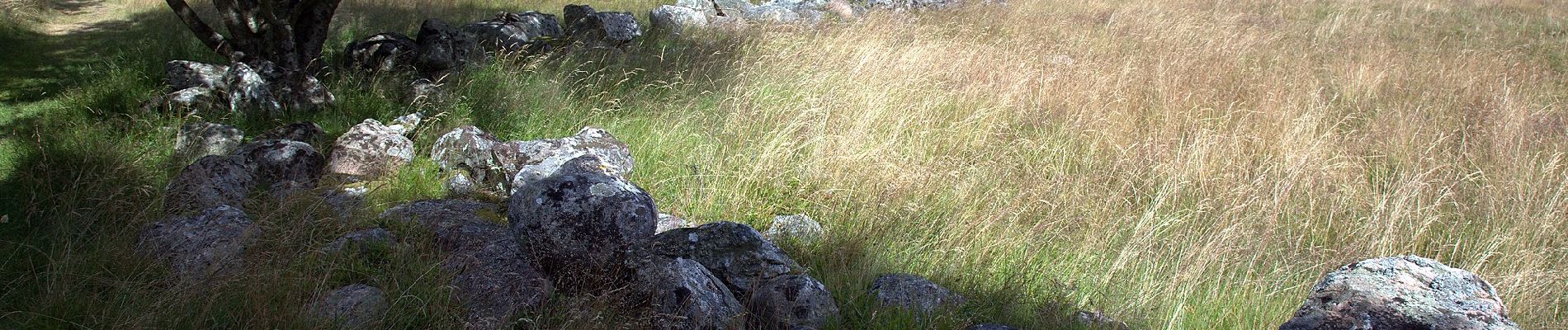 Percorso A piedi Sconosciuto - Enbart promenader 4,5 km - Photo