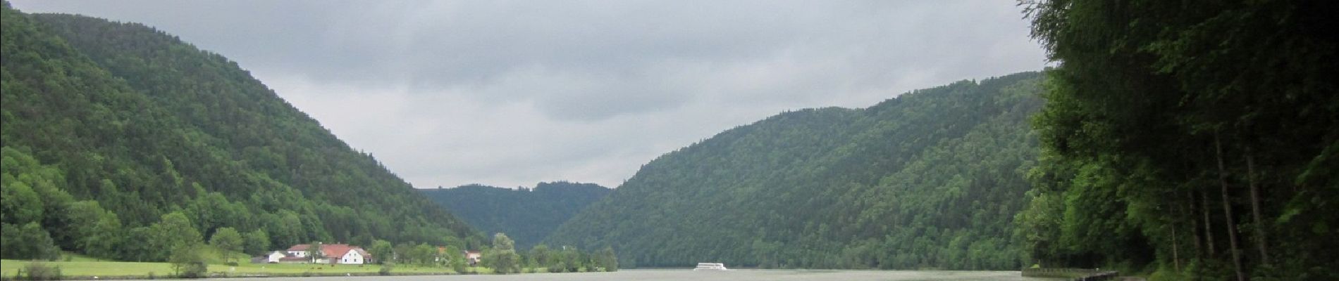 Excursión A pie Hofkirchen im Mühlkreis - Naturlehrpfad Donauschlinge - Photo