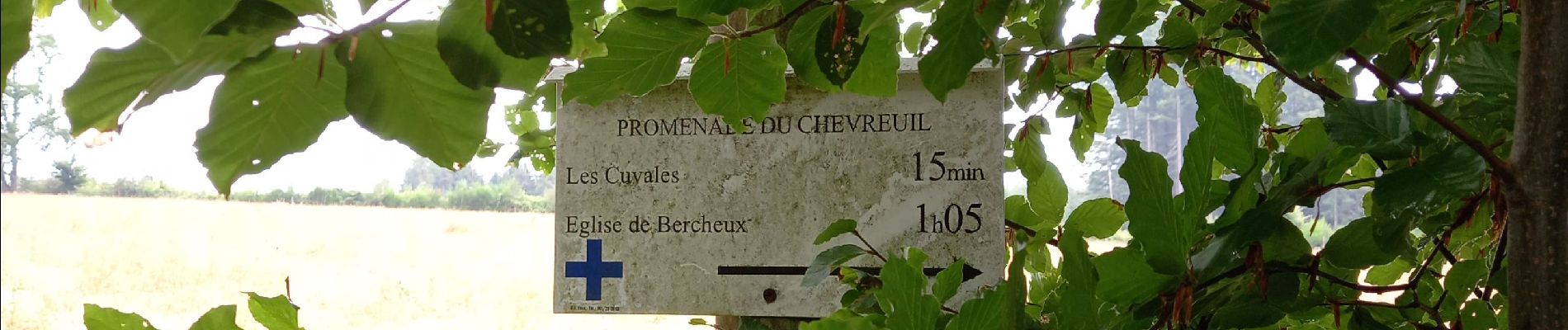Trail Walking Vaux-sur-Sûre - Adeps 10 km Bercheux - Photo