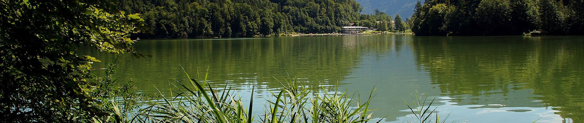 Tour Zu Fuß Kiefersfelden - Gießenbachklamm Rundweg - Photo