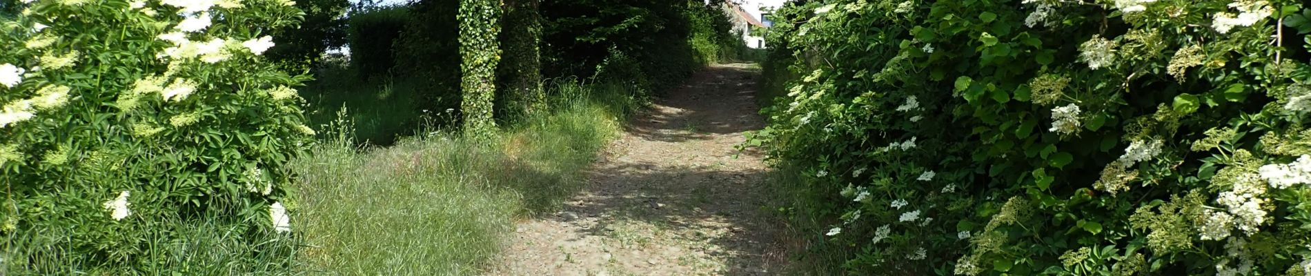 Trail On foot Jodoigne - #190000 - Souveraine Tienne Strichaux - Photo