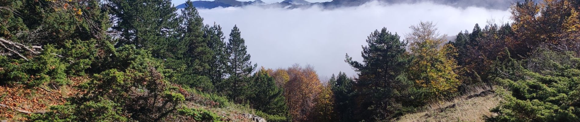 Trail Walking Prades - Prades col de la Gardie - Photo