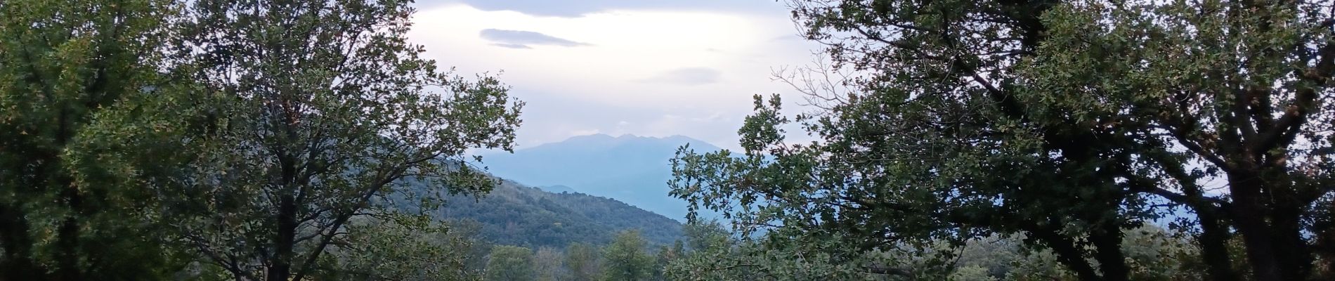 Tour Wandern L'Albère - autour de St Martin l'albere et puig forcadell  - Photo