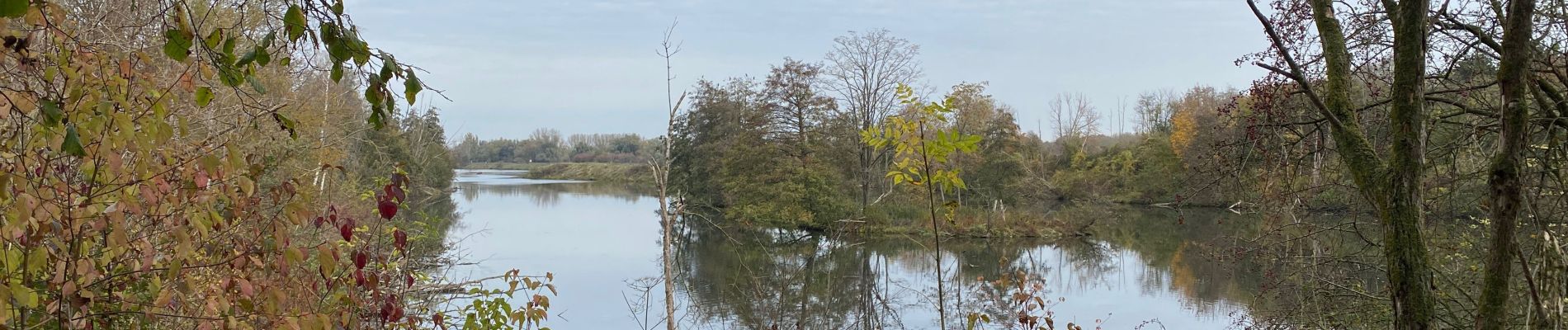 Tocht Stappen Wezet - Lanaye 20 km - Photo