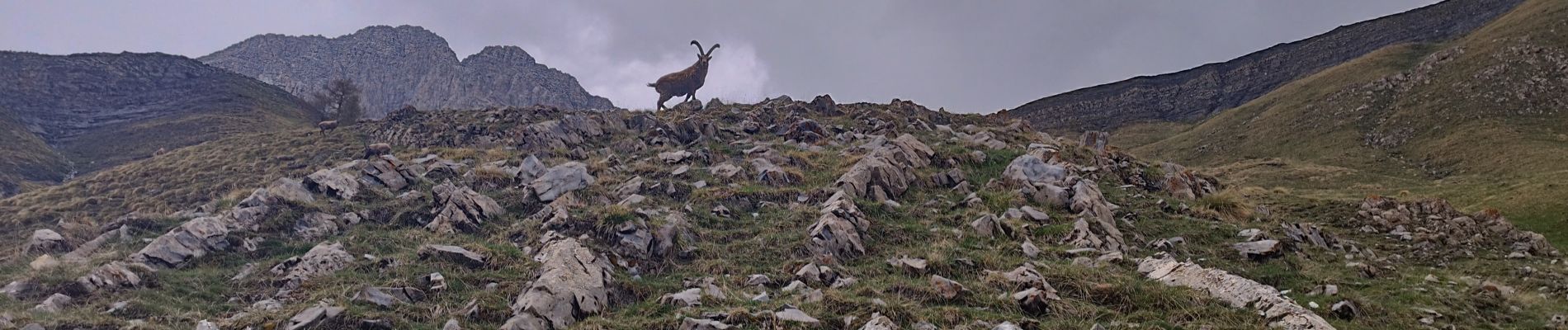 Tocht Trail Entraunes - couesto. oustaruma - Photo