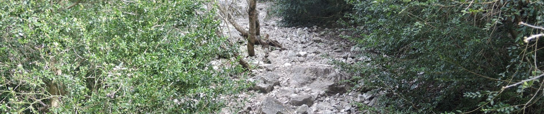 Tour Wandern Cheval-Blanc - PF-Trou du Rat - Mayorques - Photo