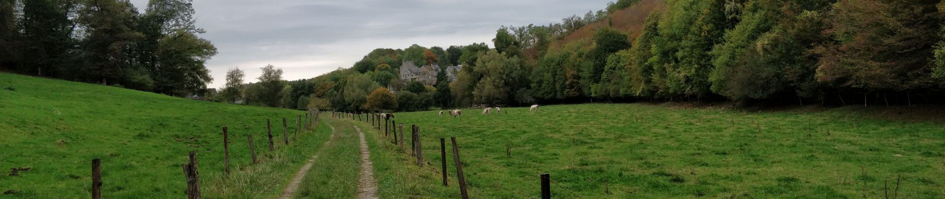 Tocht Stappen Houyet - celle - Photo