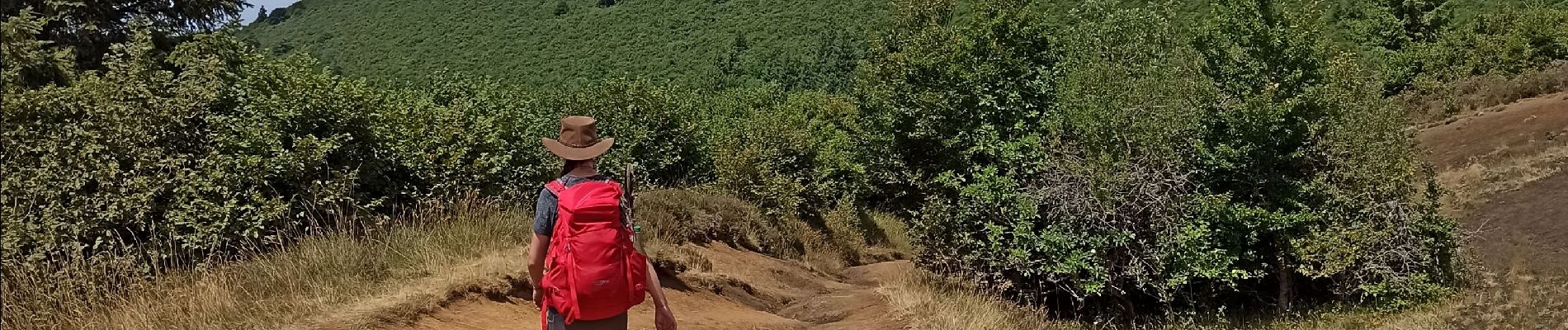 Randonnée Marche Orcines - J6 : Orcines/la baraque - puy de Dôme - Beauregard - Photo