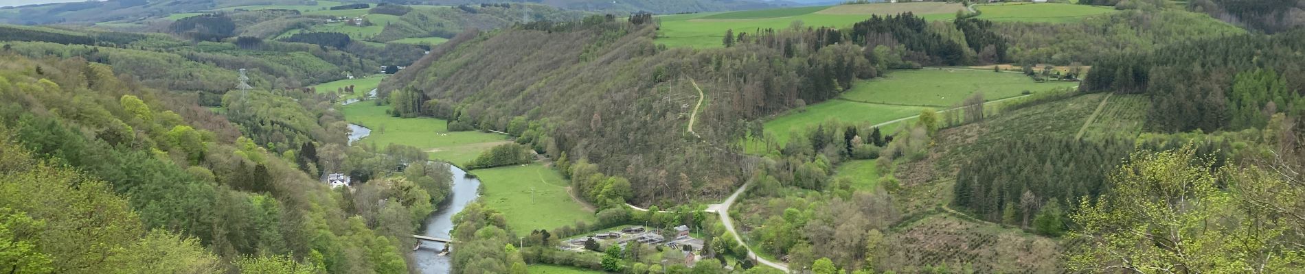 Trail Walking La Roche-en-Ardenne - Beausaint - Photo