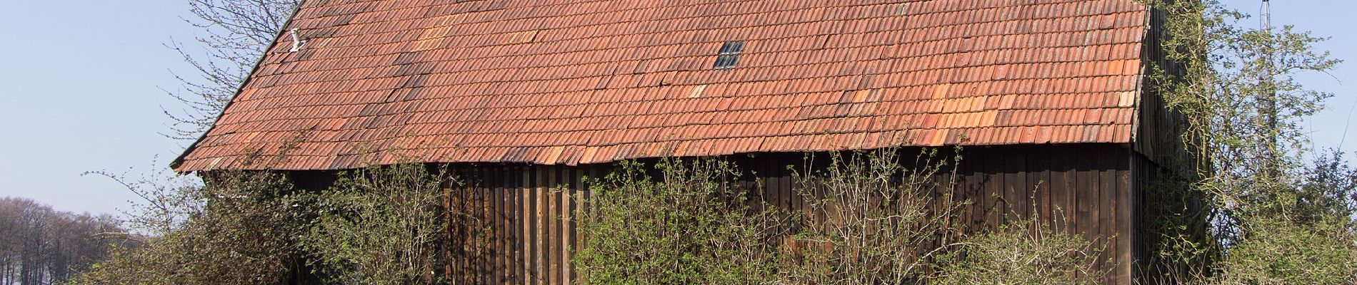 Tour Zu Fuß Nottuln - Longinusturm Rundweg A1 - Photo