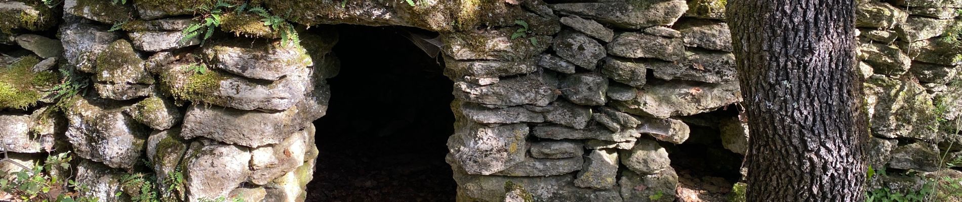 Trail Walking Chamaret - Borries de chamaret  - Photo