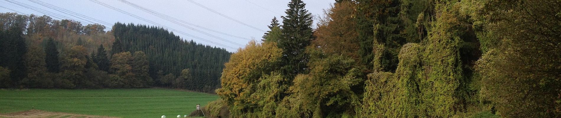 Percorso A piedi Trendelburg - Grenzland-Rundweg 1 - Photo