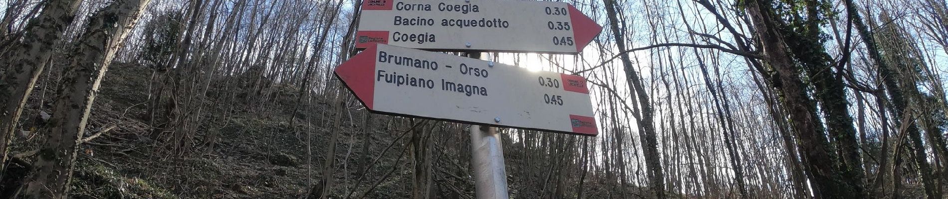 Tour Zu Fuß Brumano - Sentiero 579: Chignolo - Bocca del Grassello - Photo