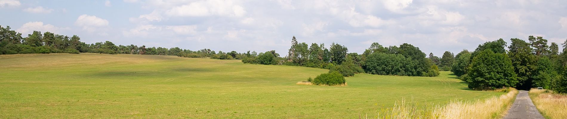 Tocht Te voet Beverungen - Galgenberg-Drenke-Selsberg - Photo