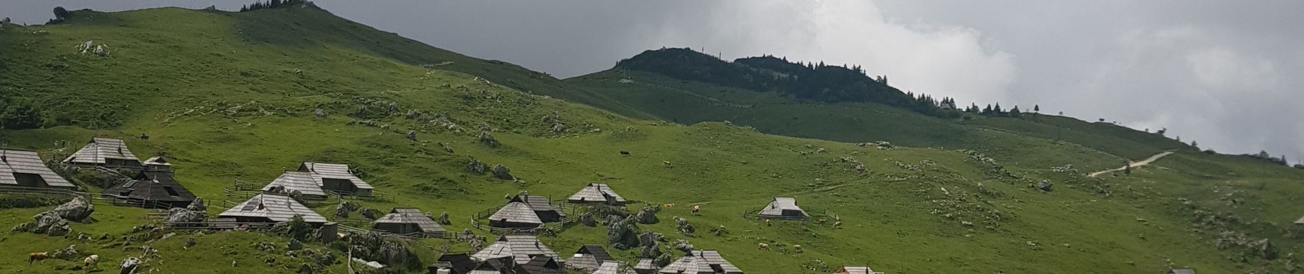 Randonnée Marche Kamnik - Velika Planina - Photo