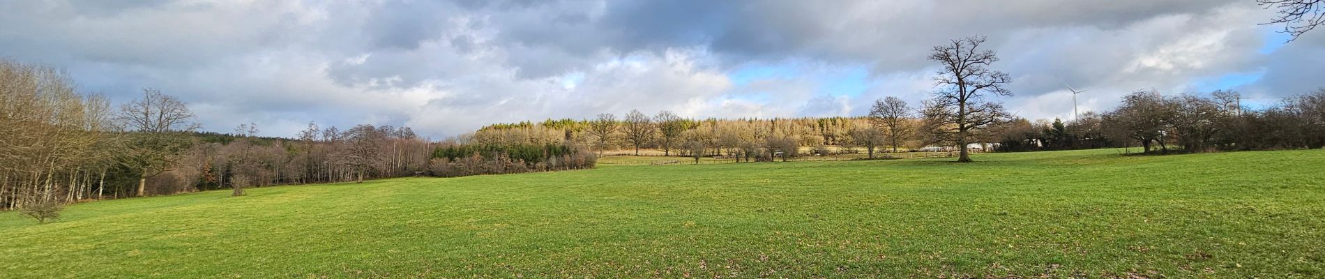 Trail Walking Lierneux - A la découverte de Lierneux 🥾 - Photo