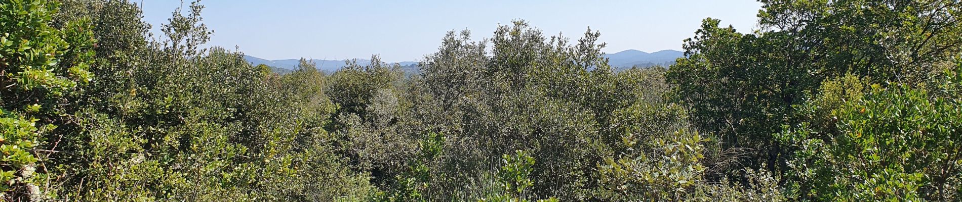 Tour Wandern Saint-Maximin-la-Sainte-Baume - JCG 20/04/03 Rando maison - Photo