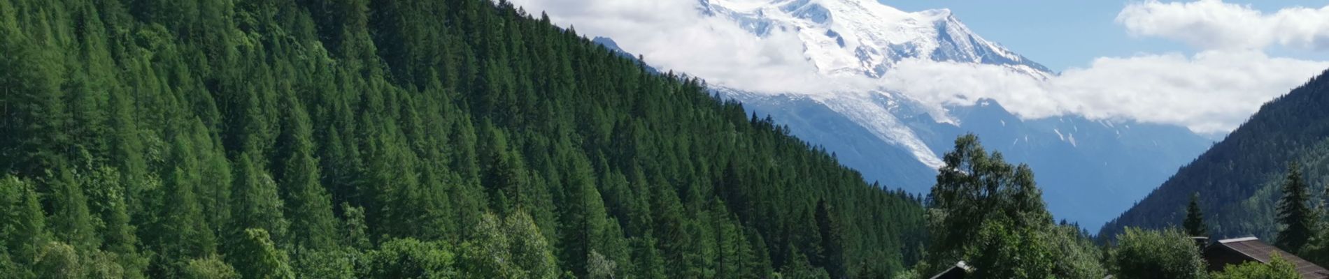 Tour Wandern Chamonix-Mont-Blanc - Aiguille de Posettes et Tête de Balme - Photo