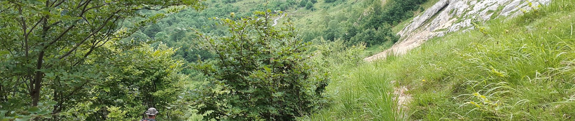 Tour Wandern Eaux-Bonnes - balisage  - Photo