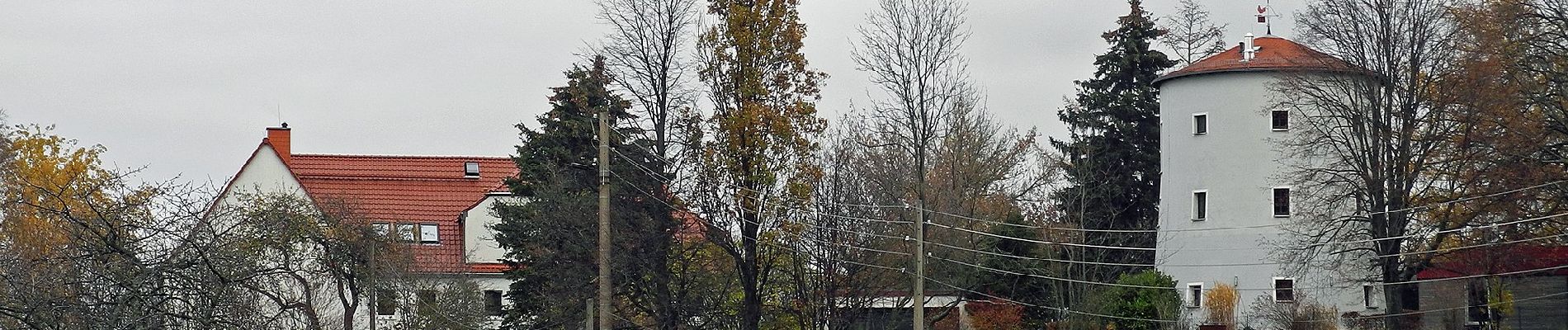 Tocht Te voet Steina - Rundwanderweg Gelber Punkt Ohorn - Steina - Luchsenburg - Photo