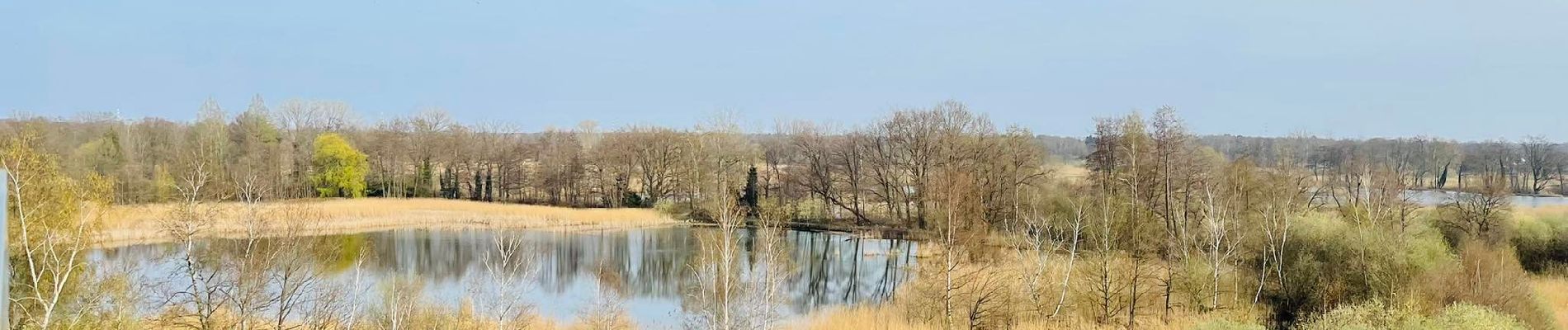 Percorso Marcia Zonhoven - De Wijers: Platwijers - Wijvenheide - Heidestrand (oranje) - Photo