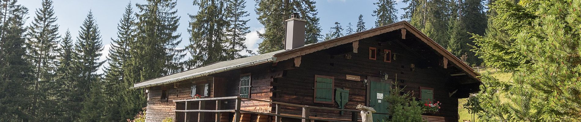 Percorso A piedi Reit im Winkl - Winklmoosalm - Dürrnbachhorn - Photo