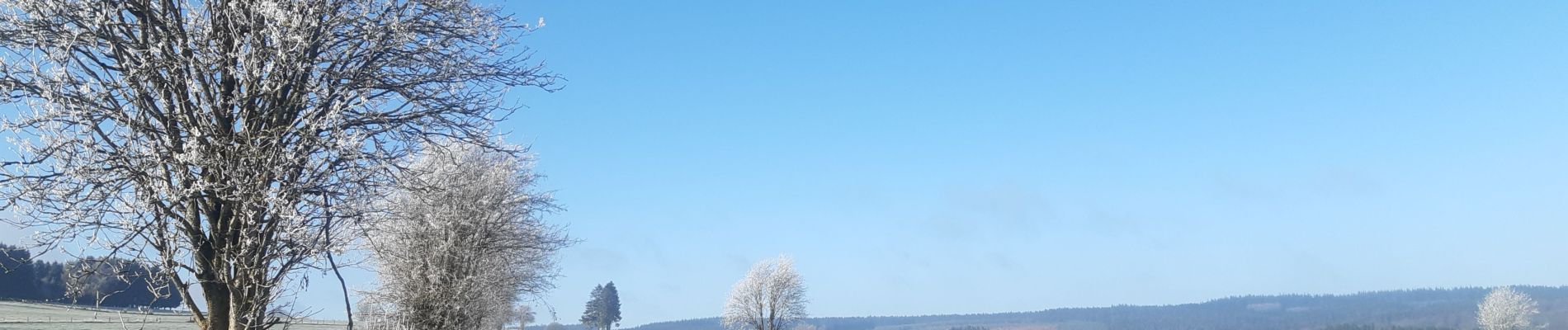 Randonnée Marche Vielsalm - entre Fraiture et le plateau des Tailles - Photo