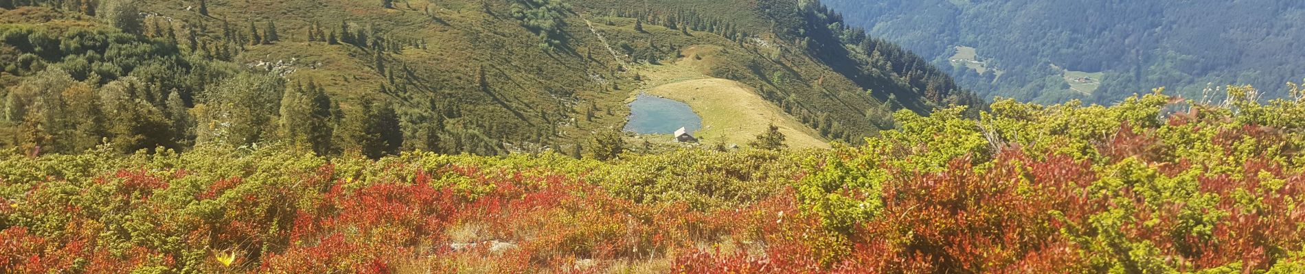 Excursión Senderismo Le Haut-Bréda - Croix et lac du Leat  et Pierre du Pin, via le chalet du Bout - Photo