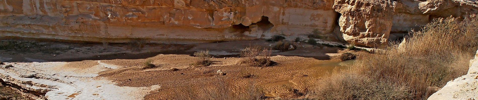 Randonnée A pied Conseil régional de Ramat Negev - IL-14181 - Photo